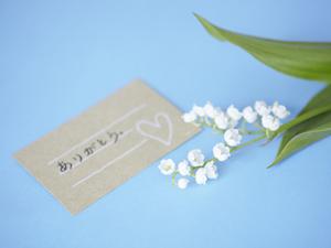 可愛らしいがま口の小銭入れを購入しよう