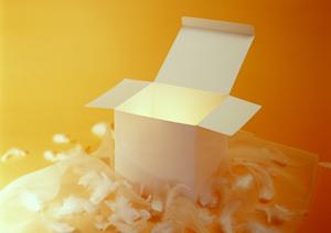 お金持ちになりたいなら風水財布を